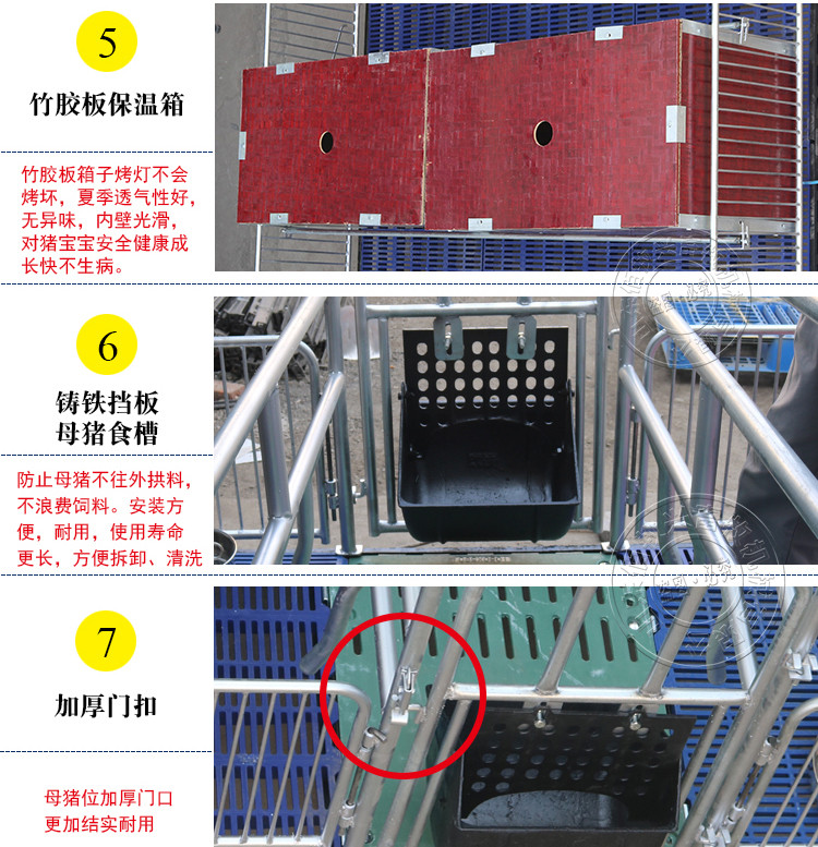 山東佰牧興國(guó)標(biāo)2.5復(fù)合雙體母豬產(chǎn)床 