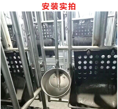 豬用自動飲水器