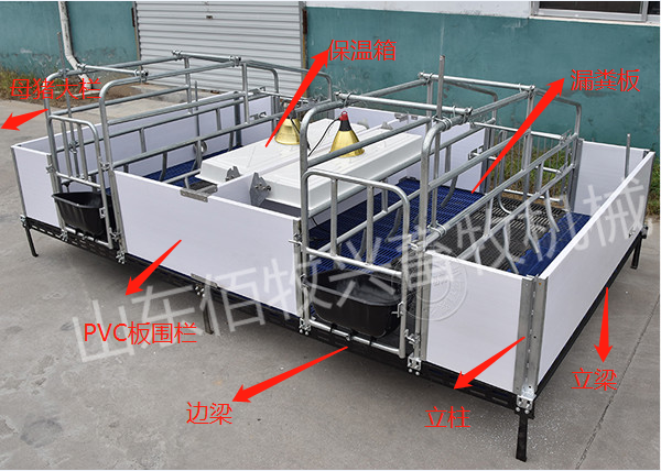 母豬產(chǎn)床安裝