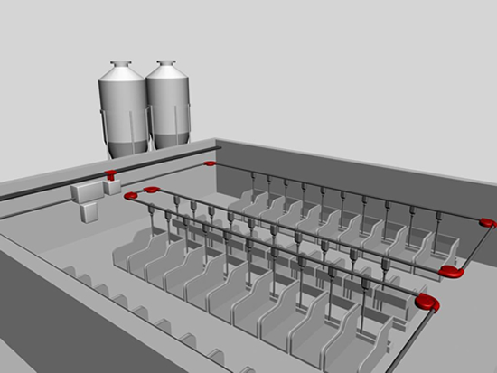 母豬舍自動化料線圖片