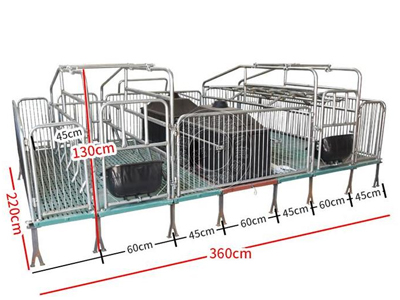 產(chǎn)保兩用母豬產(chǎn)床實拍圖