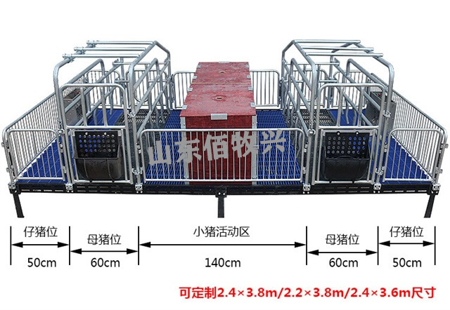 國標(biāo)2.5熱鍍鋅母豬產(chǎn)床實(shí)拍圖